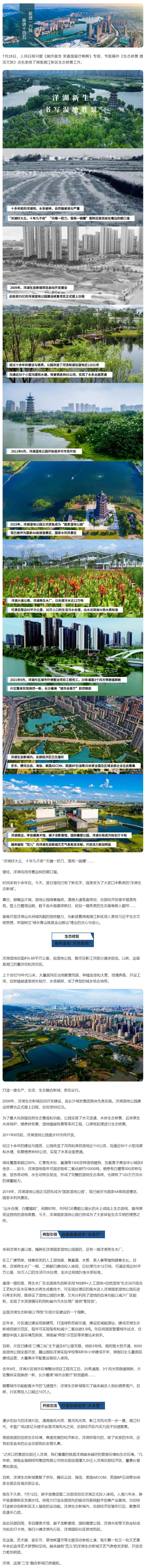 洋湖：湿地里的生态新城，诗意里的栖息胜地.jpg