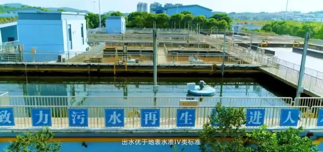 微信图片_20241212155809.jpg