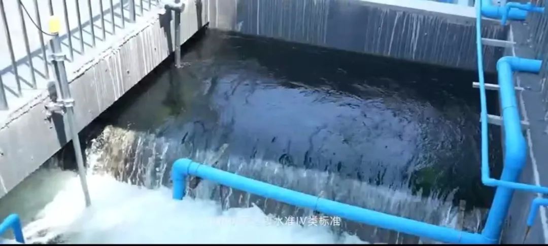 微信图片_20241212155803.jpg